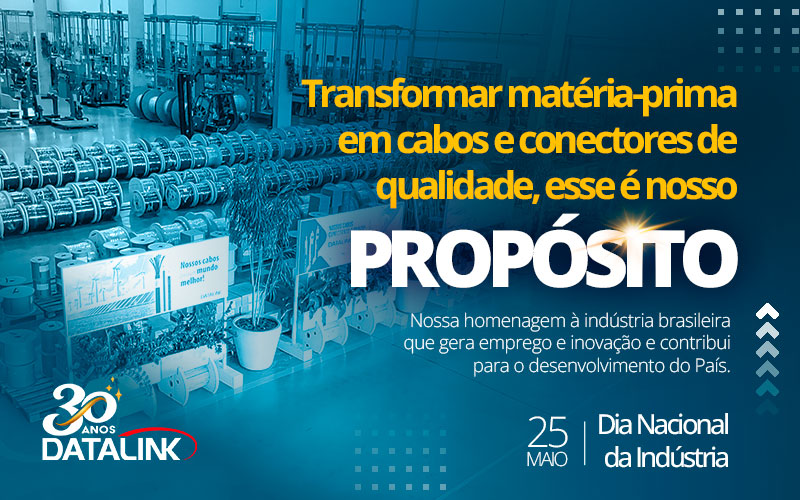 Datalink: a história de uma empresa brasileira de sucesso