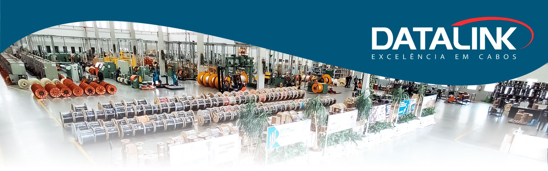 Datalink e Systech Feeder: parceria de sucesso na pecuária brasileira