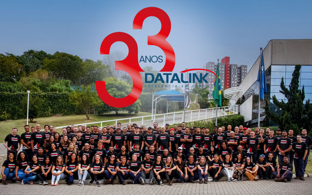 33 Anos Datalink