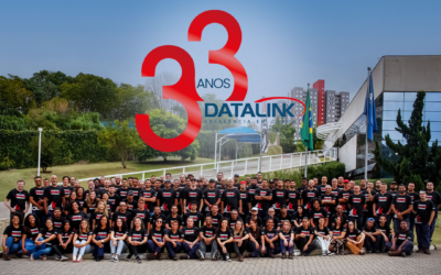 33 Anos Datalink